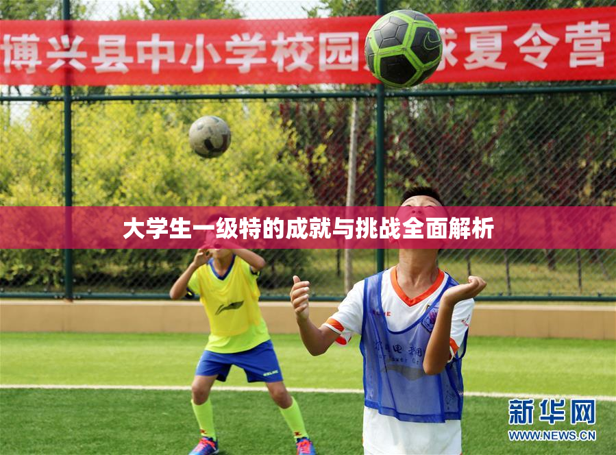 大学生一级特的成就与挑战全面解析