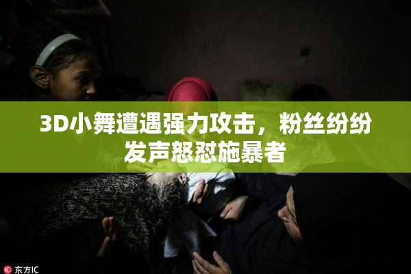 3D小舞遭遇强力攻击，粉丝纷纷发声怒怼施暴者