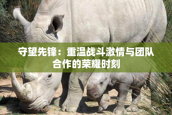 守望先锋：重温战斗激情与团队合作的荣耀时刻