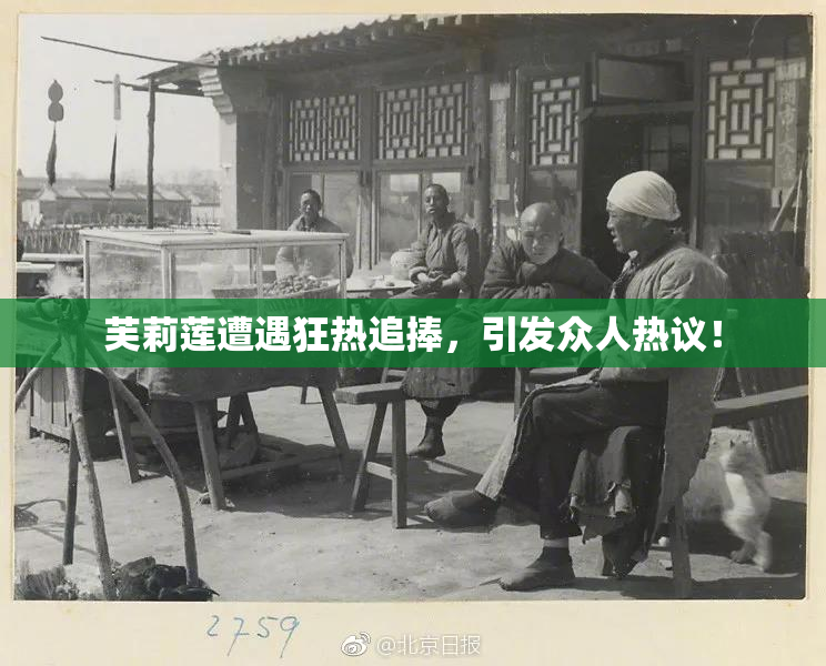 芙莉莲遭遇狂热追捧，引发众人热议！