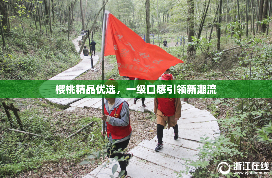 樱桃精品优选，一级口感引领新潮流