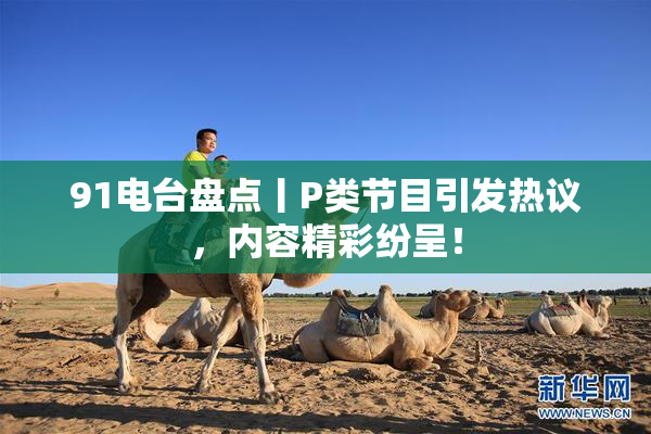 91电台盘点丨P类节目引发热议，内容精彩纷呈！