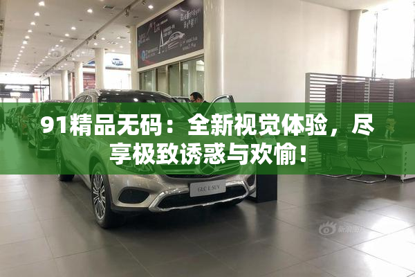 91精品无码：全新视觉体验，尽享极致诱惑与欢愉！
