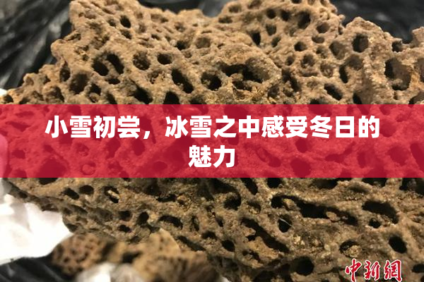小雪初尝，冰雪之中感受冬日的魅力