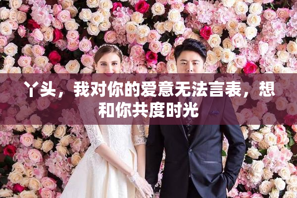 丫头，我对你的爱意无法言表，想和你共度时光