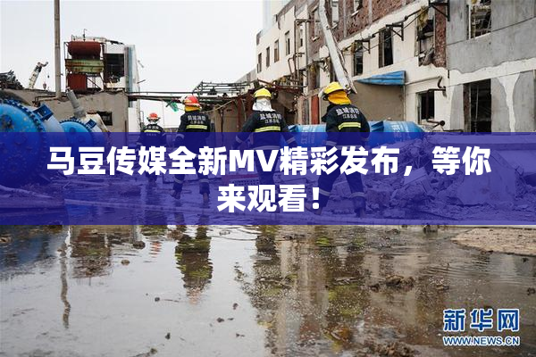 马豆传媒全新MV精彩发布，等你来观看！