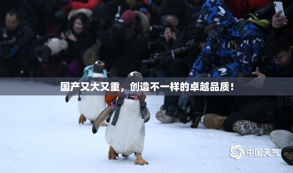 国产又大又重，创造不一样的卓越品质！