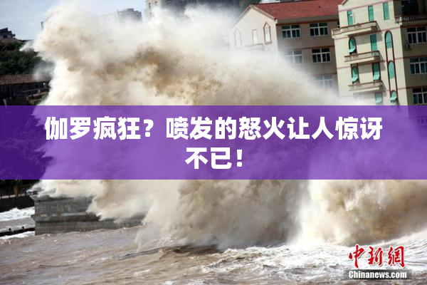 伽罗疯狂？喷发的怒火让人惊讶不已！