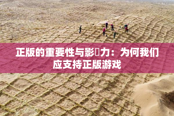 正版的重要性与影響力：为何我们应支持正版游戏