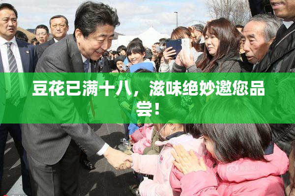 豆花已满十八，滋味绝妙邀您品尝！