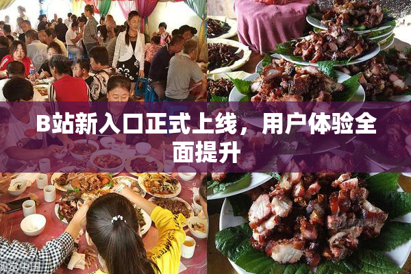 B站新入口正式上线，用户体验全面提升