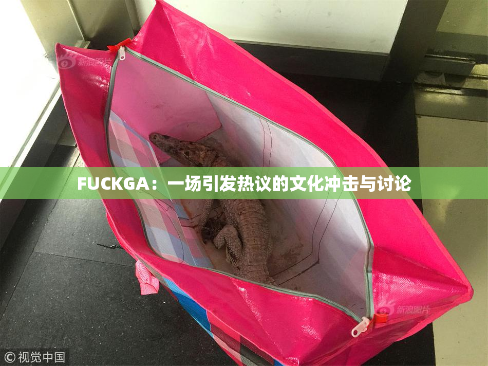 FUCKGA：一场引发热议的文化冲击与讨论