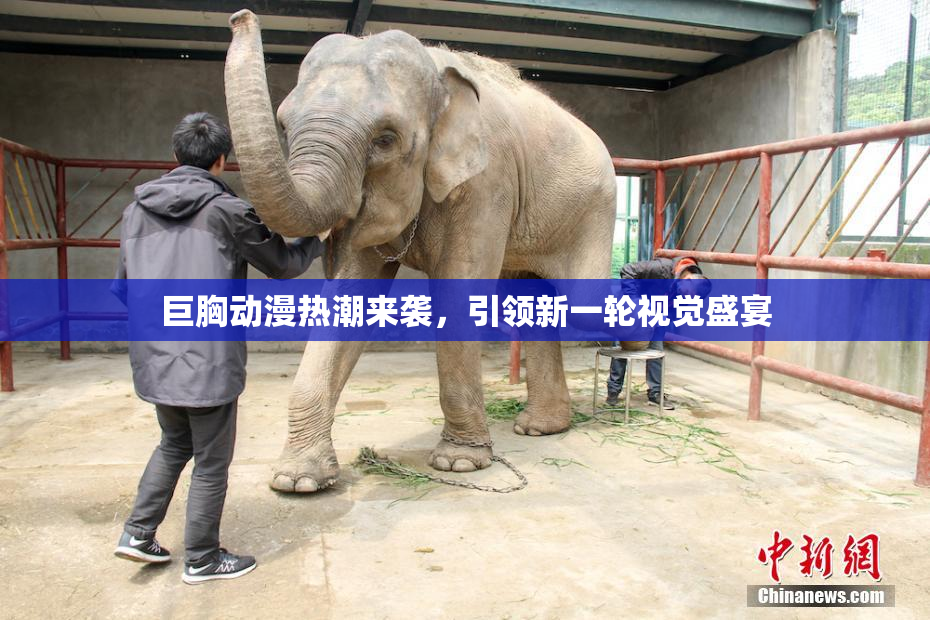 巨胸动漫热潮来袭，引领新一轮视觉盛宴