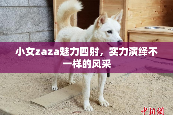 小女zaza魅力四射，实力演绎不一样的风采