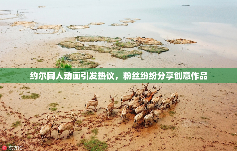 约尔同人动画引发热议，粉丝纷纷分享创意作品