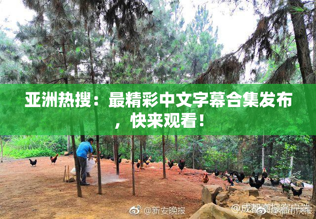 亚洲热搜：最精彩中文字幕合集发布，快来观看！