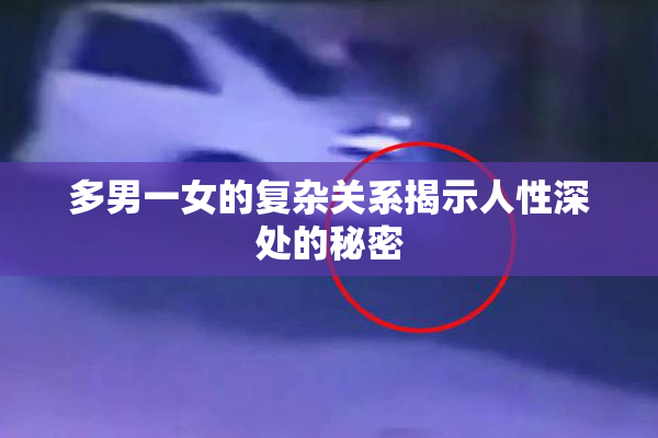 多男一女的复杂关系揭示人性深处的秘密
