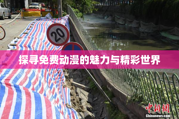 探寻免费动漫的魅力与精彩世界