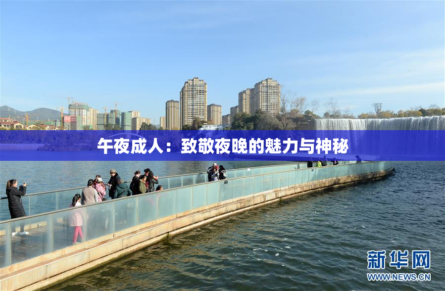 午夜成人：致敬夜晚的魅力与神秘
