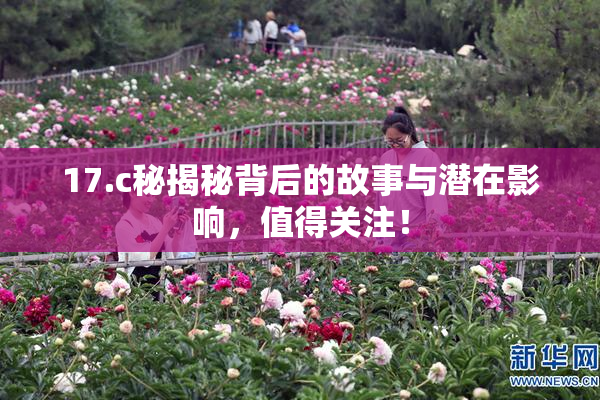 17.c秘揭秘背后的故事与潜在影响，值得关注！