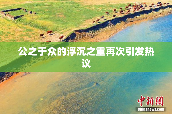 公之于众的浮沉之重再次引发热议