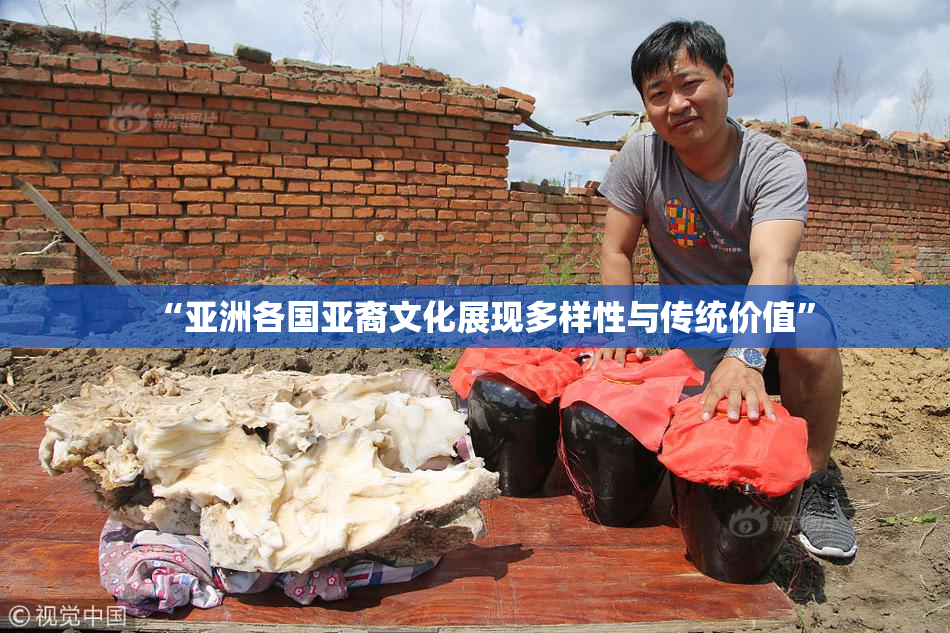 “亚洲各国亚裔文化展现多样性与传统价值”