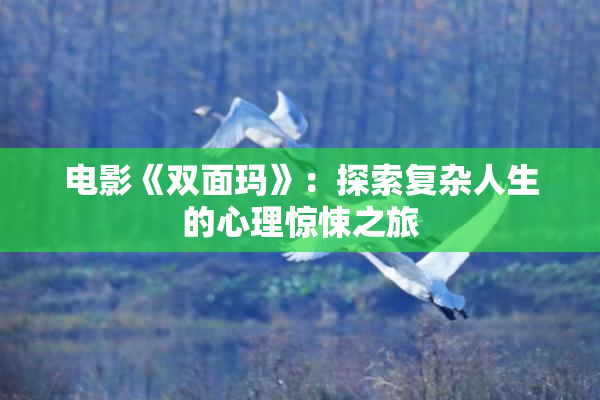 电影《双面玛》：探索复杂人生的心理惊悚之旅