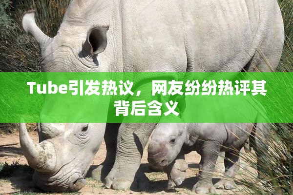 Tube引发热议，网友纷纷热评其背后含义