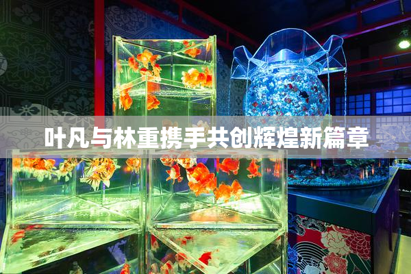 叶凡与林重携手共创辉煌新篇章
