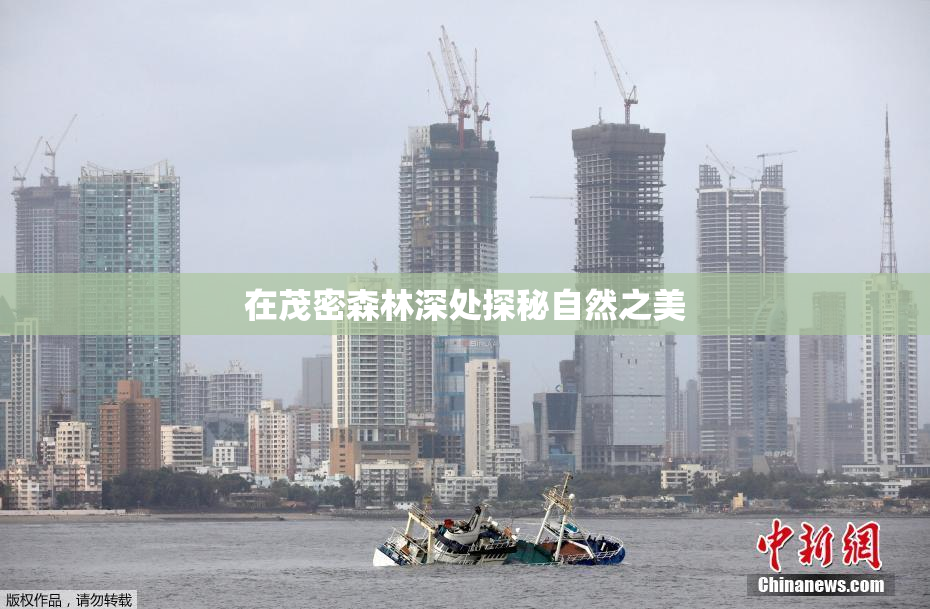 在茂密森林深处探秘自然之美