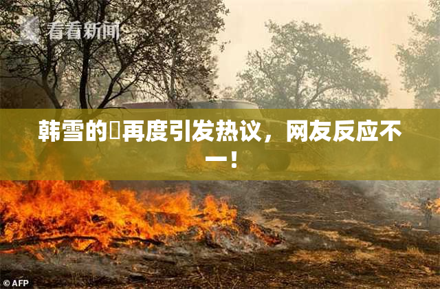 韩雪的婬再度引发热议，网友反应不一！
