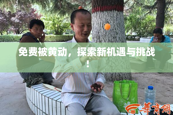 免费被黄动，探索新机遇与挑战！