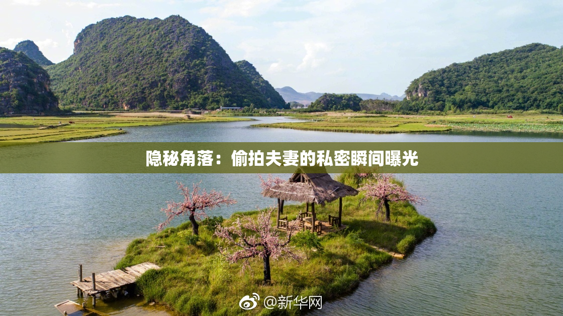 隐秘角落：偷拍夫妻的私密瞬间曝光