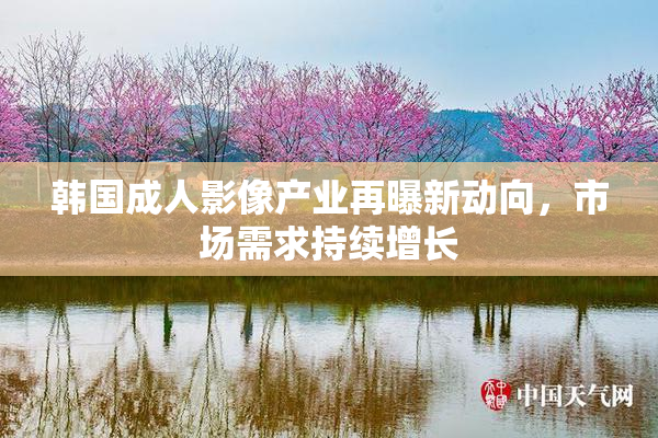 韩国成人影像产业再曝新动向，市场需求持续增长