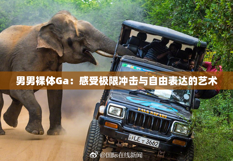 男男裸体Ga：感受极限冲击与自由表达的艺术