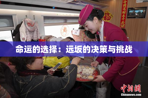 命运的选择：远坂的决策与挑战