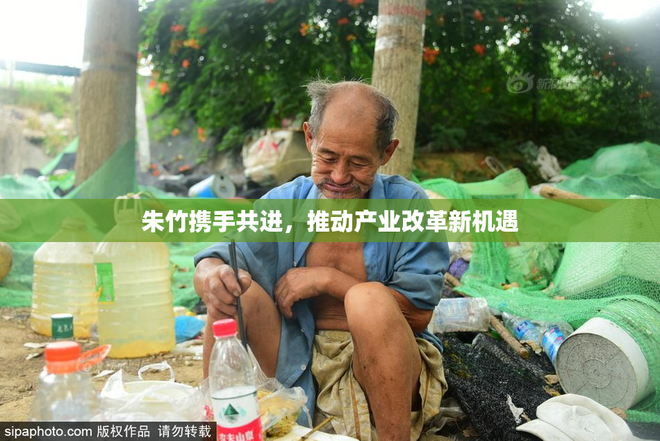 朱竹携手共进，推动产业改革新机遇