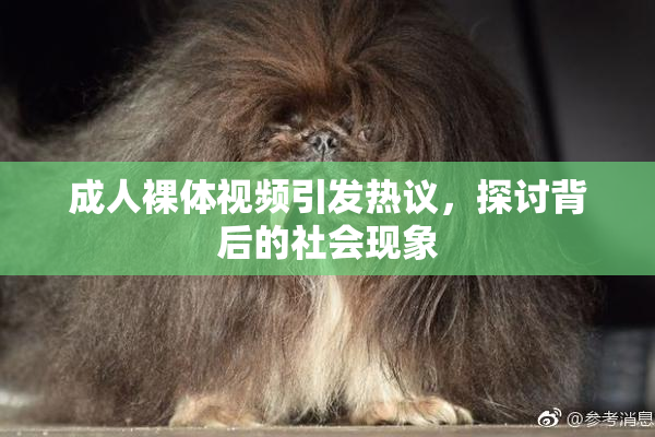 成人裸体视频引发热议，探讨背后的社会现象