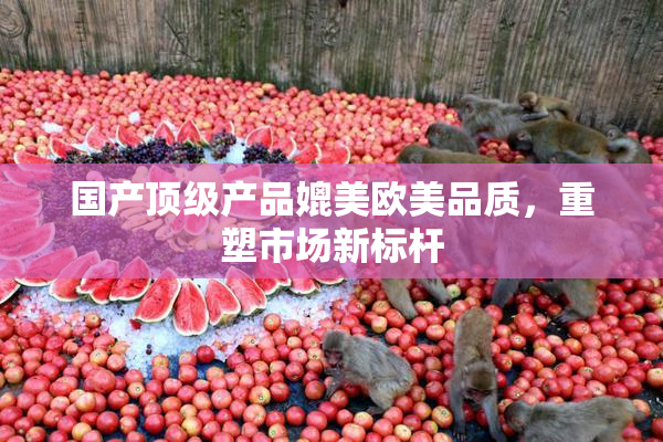 国产顶级产品媲美欧美品质，重塑市场新标杆