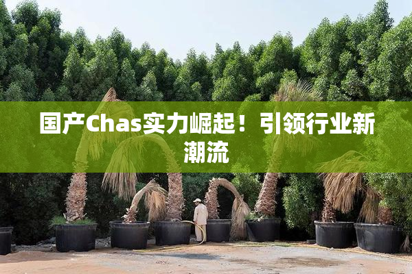 国产Chas实力崛起！引领行业新潮流