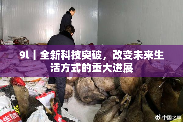 9l丨全新科技突破，改变未来生活方式的重大进展