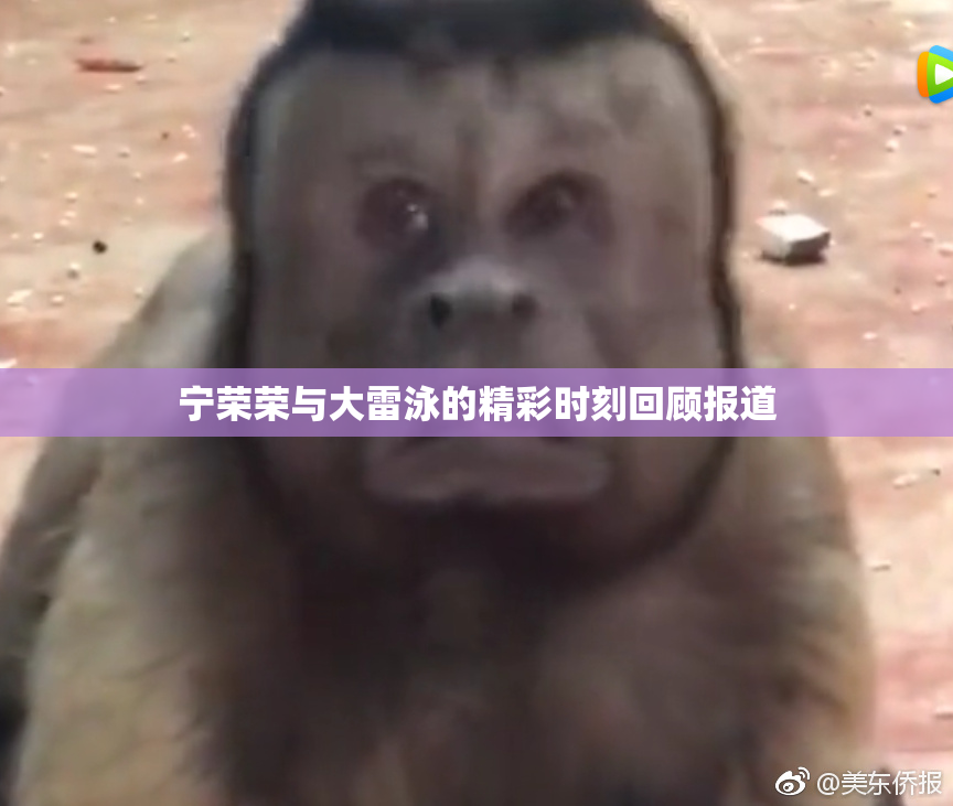 宁荣荣与大雷泳的精彩时刻回顾报道