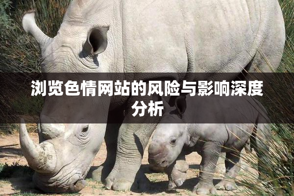 浏览色情网站的风险与影响深度分析