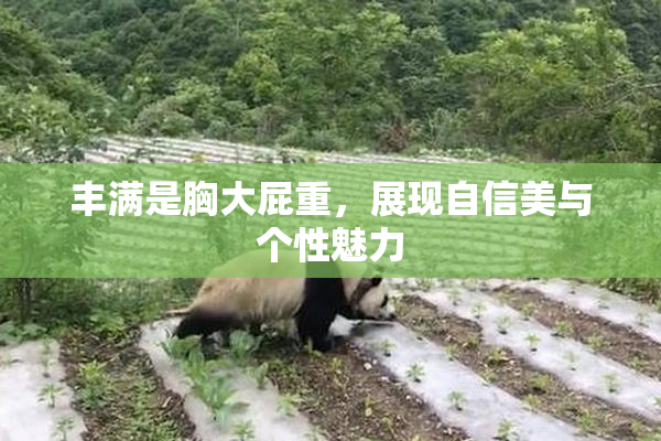 丰满是胸大屁重，展现自信美与个性魅力