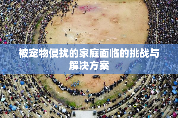 被宠物侵扰的家庭面临的挑战与解决方案
