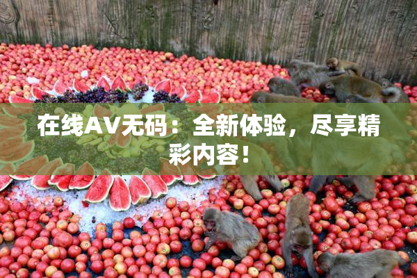 在线AV无码：全新体验，尽享精彩内容！