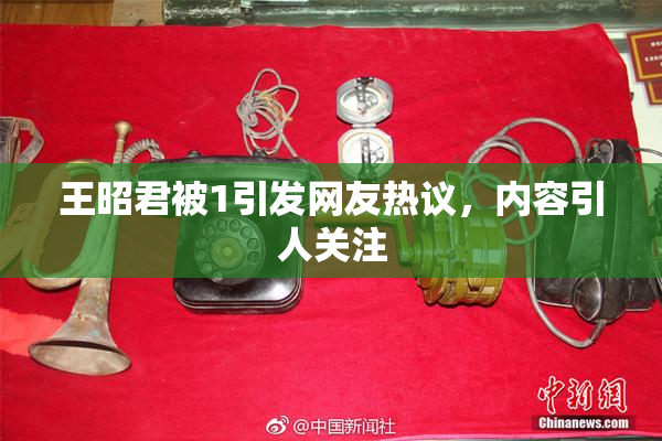 王昭君被1引发网友热议，内容引人关注