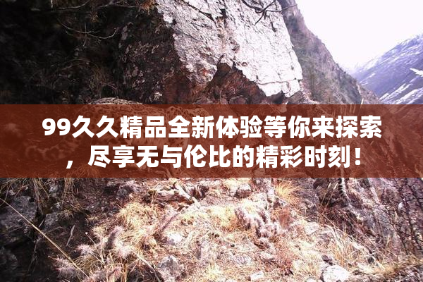 99久久精品全新体验等你来探索，尽享无与伦比的精彩时刻！