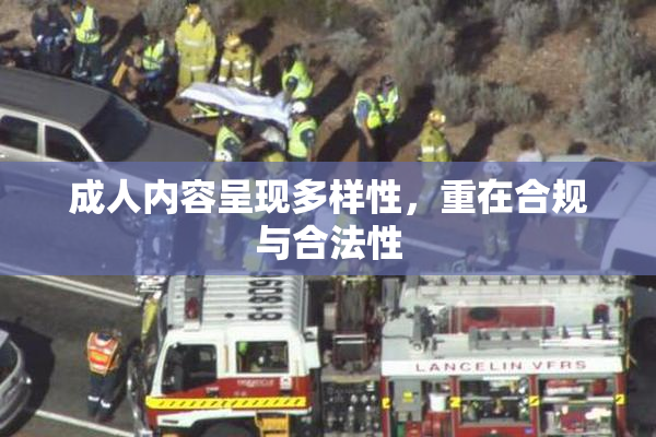 成人内容呈现多样性，重在合规与合法性