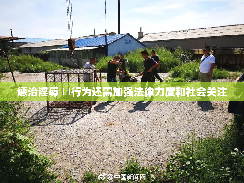 惩治淫辱妺妺行为还需加强法律力度和社会关注
